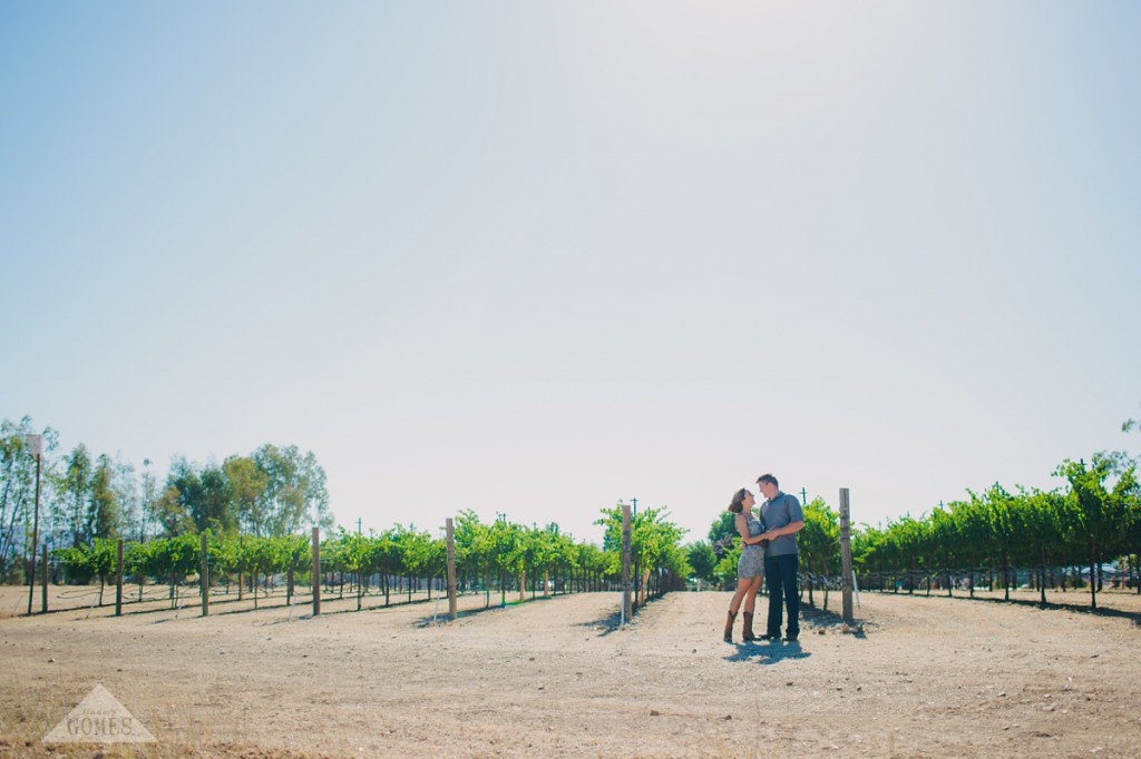 engagement portraits | lindsey gomes photography_0006